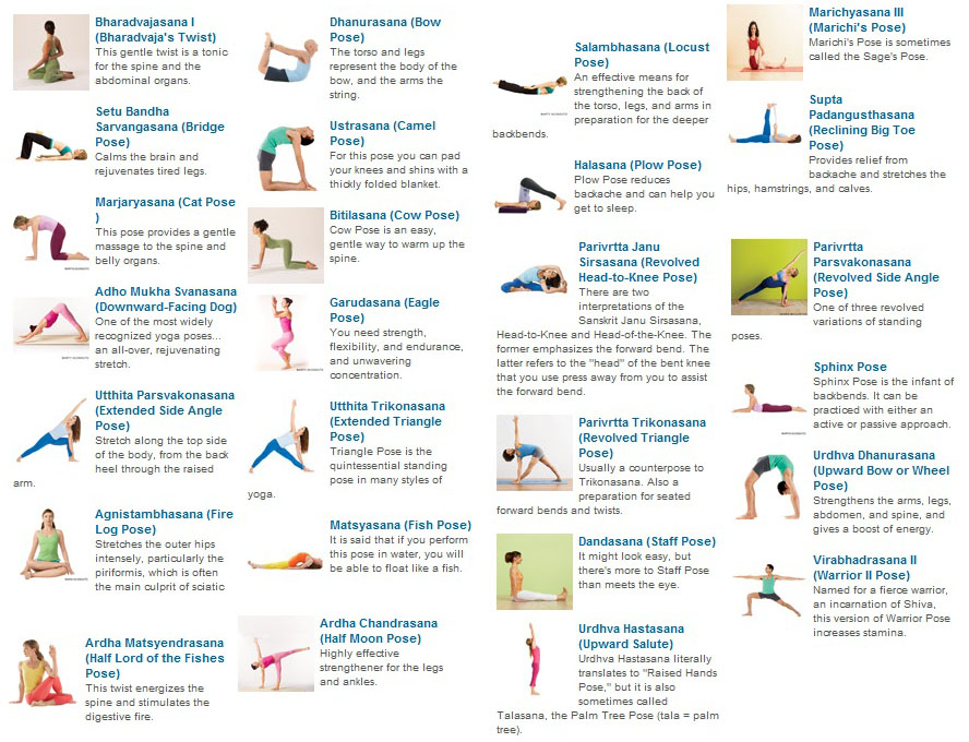 Ashtanga vinyasa yoga Asana Vinyāsa Posture, peak flow chart transparent  background PNG clipart | HiClipart